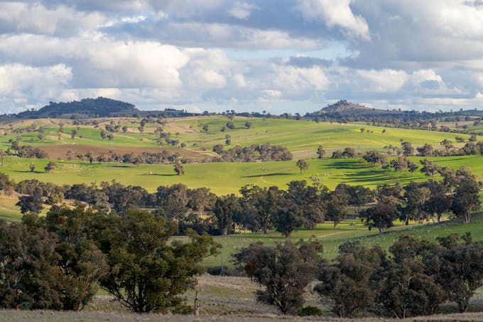 1507 Pine Mount Road, Woodstock, NSW, 2793 - Image 1