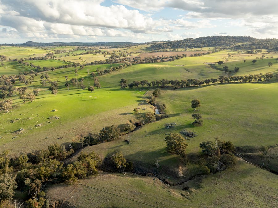1507 Pine Mount Road, Woodstock, NSW, 2793 - Image 22