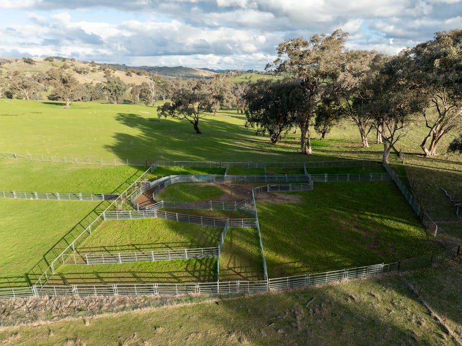 1507 Pine Mount Road, Woodstock, NSW, 2793 - Image 35