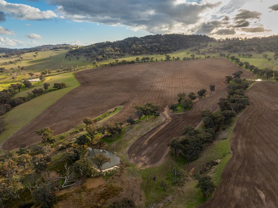 1507 Pine Mount Road, Woodstock, NSW, 2793 - Image 24