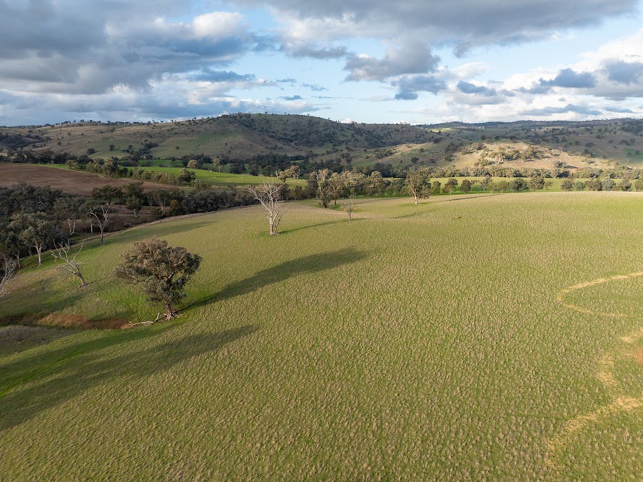 1507 Pine Mount Road, Woodstock, NSW, 2793 - Image 25