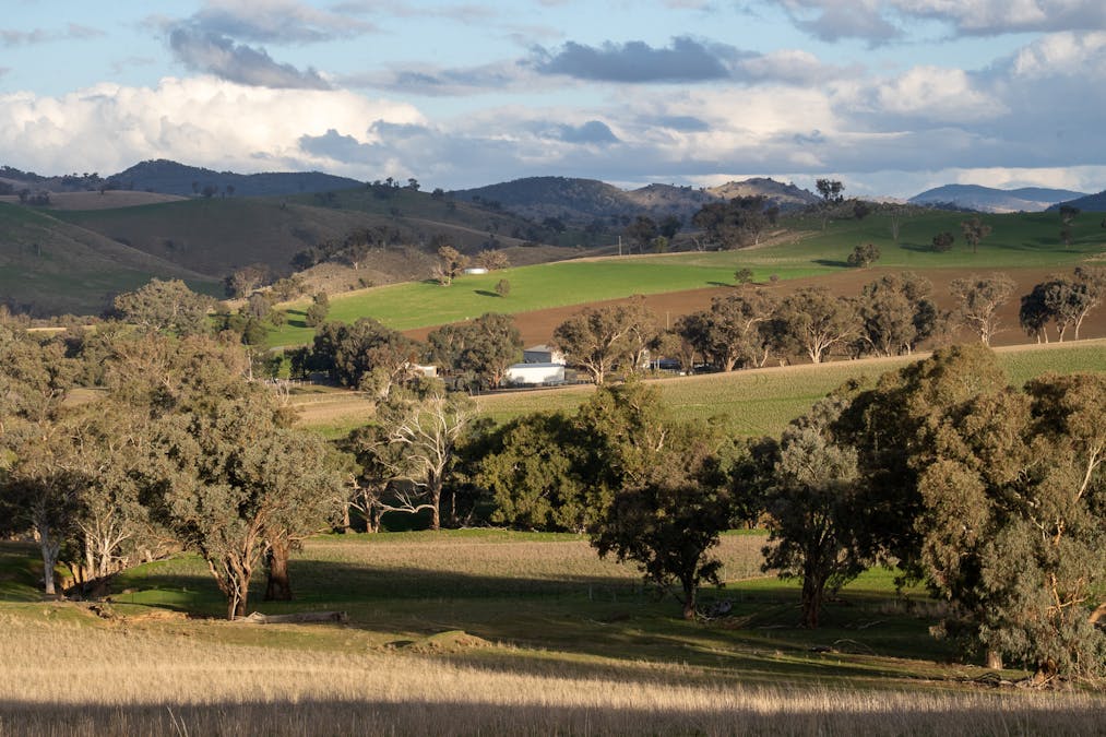 1507 Pine Mount Road, Woodstock, NSW, 2793 - Image 27