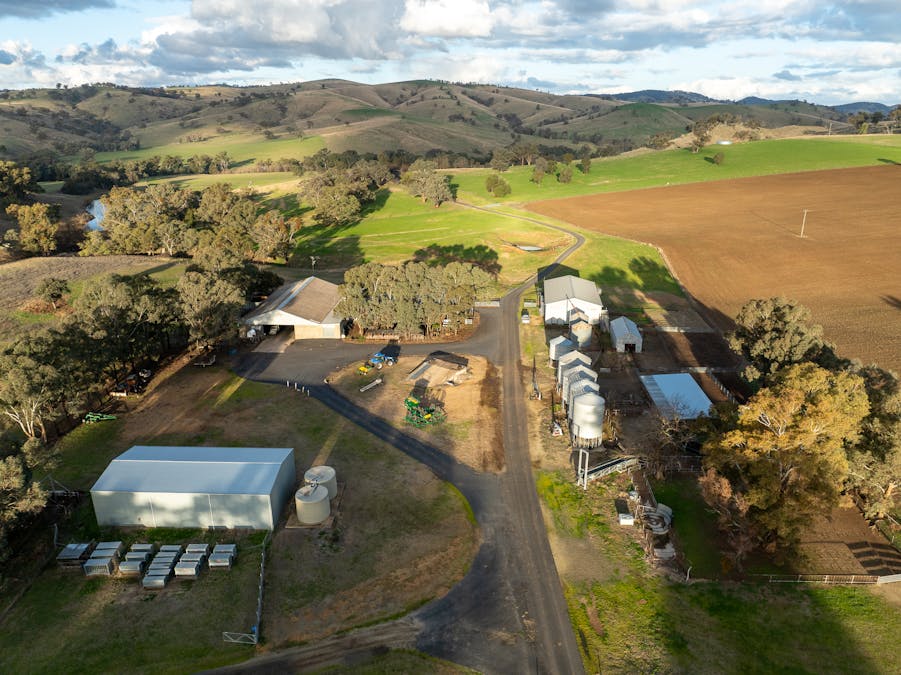 1507 Pine Mount Road, Woodstock, NSW, 2793 - Image 7