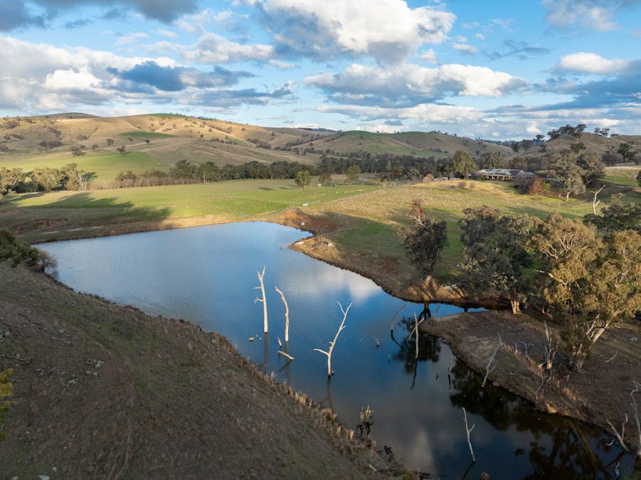 1507 Pine Mount Road, Woodstock, NSW, 2793 - Image 28