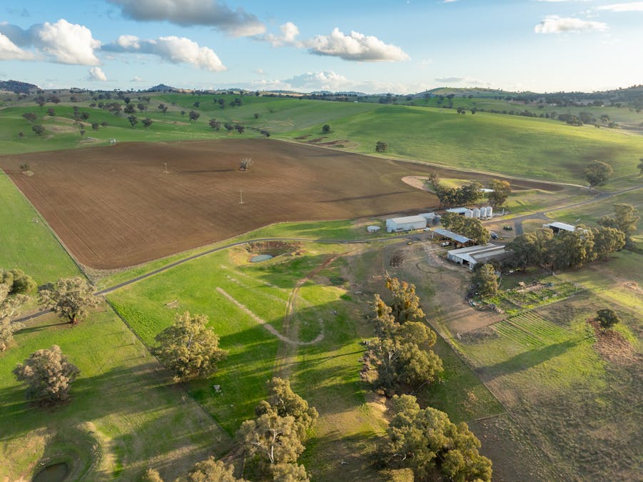 1507 Pine Mount Road, Woodstock, NSW, 2793 - Image 30