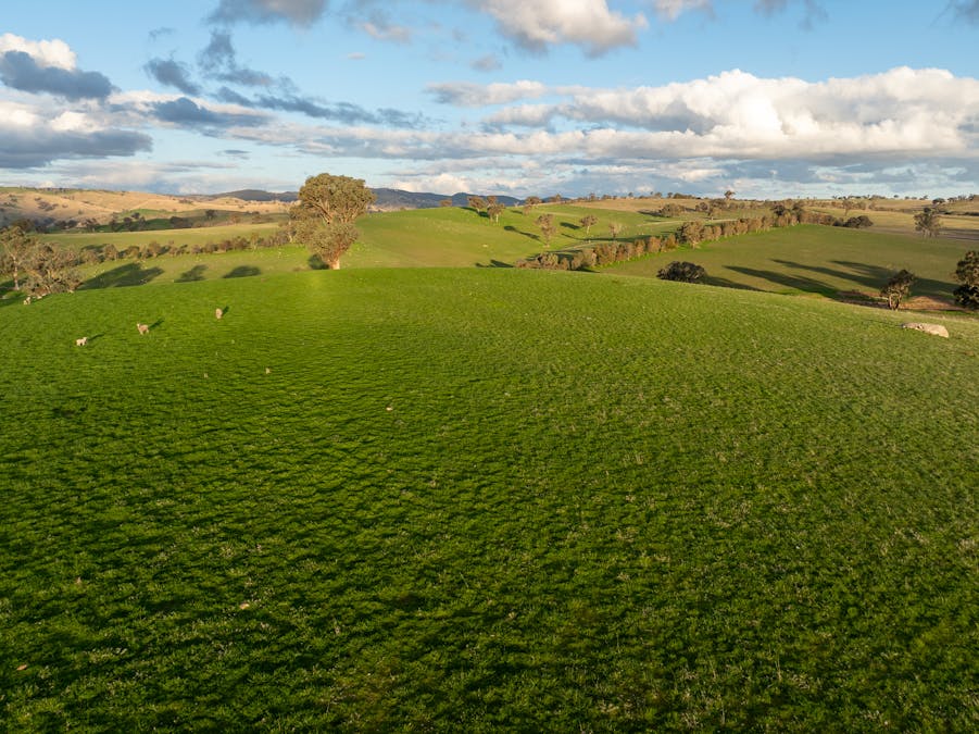 1507 Pine Mount Road, Woodstock, NSW, 2793 - Image 32