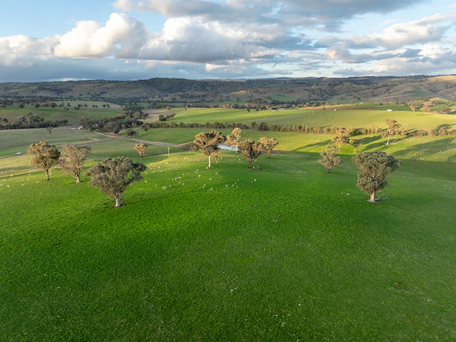 1507 Pine Mount Road, Woodstock, NSW, 2793 - Image 34