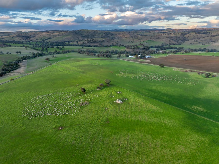 1507 Pine Mount Road, Woodstock, NSW, 2793 - Image 32