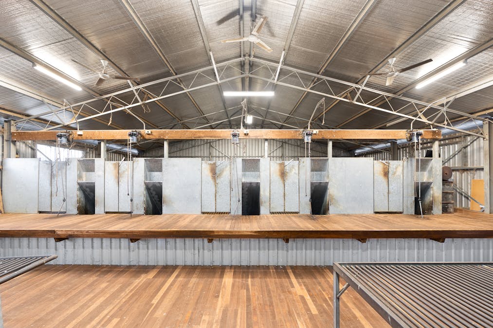 1507 Pine Mount Road, Woodstock, NSW, 2793 - Image 27