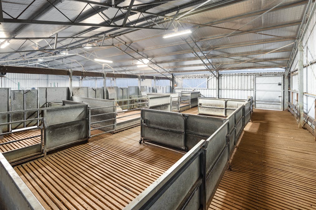 1507 Pine Mount Road, Woodstock, NSW, 2793 - Image 28