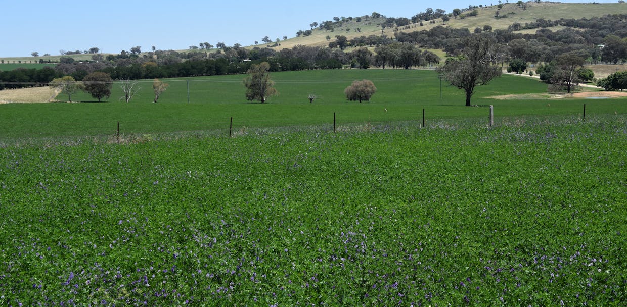 1507 Pine Mount Road, Woodstock, NSW, 2793 - Image 22