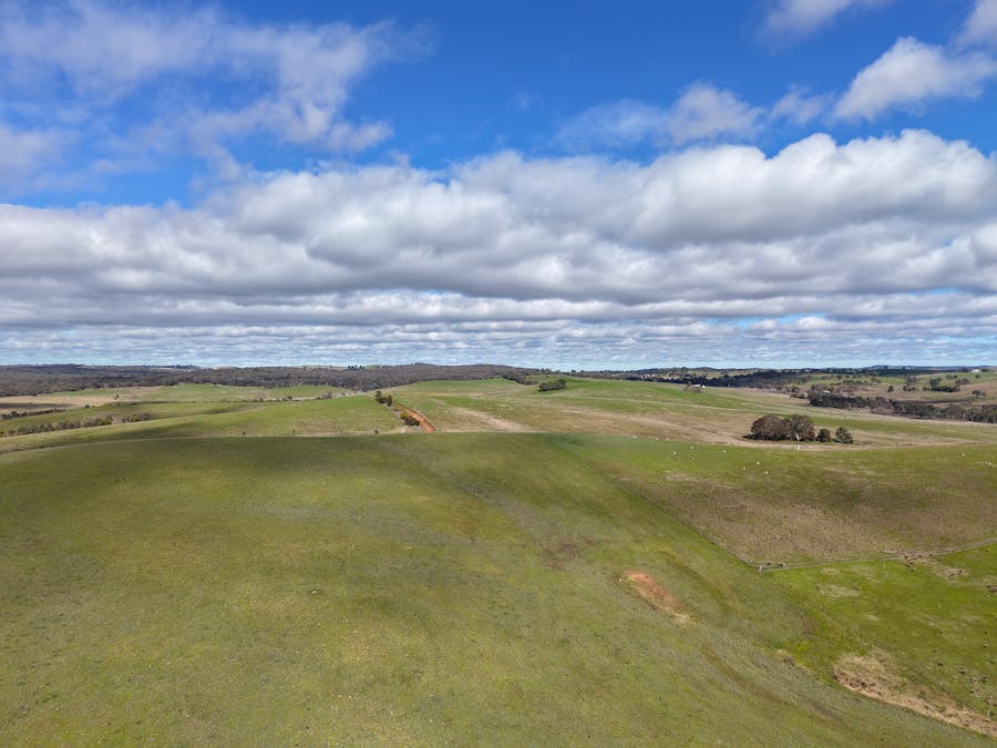196 Sunnyridge Lane, Frogmore, NSW, 2586 - Image 35
