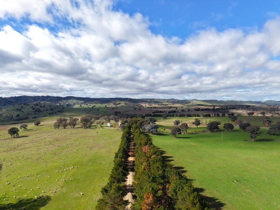 196 Sunnyridge Lane, Frogmore, NSW, 2586 - Image 6