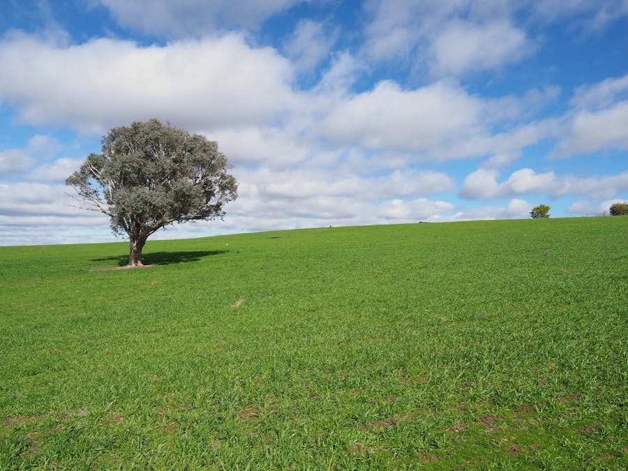 196 Sunnyridge Lane, Frogmore, NSW, 2586 - Image 24
