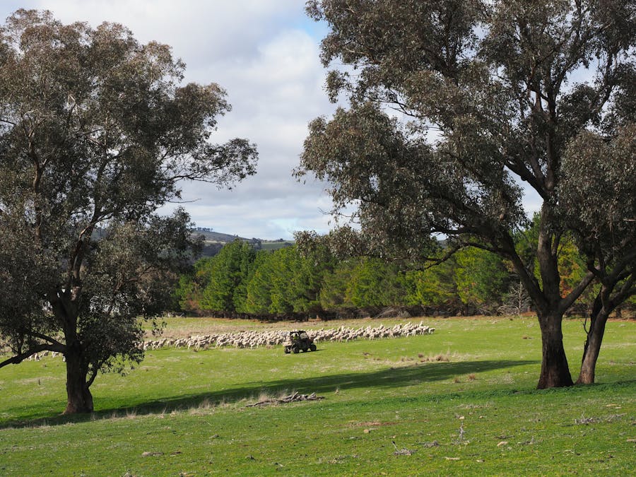 196 Sunnyridge Lane, Frogmore, NSW, 2586 - Image 9