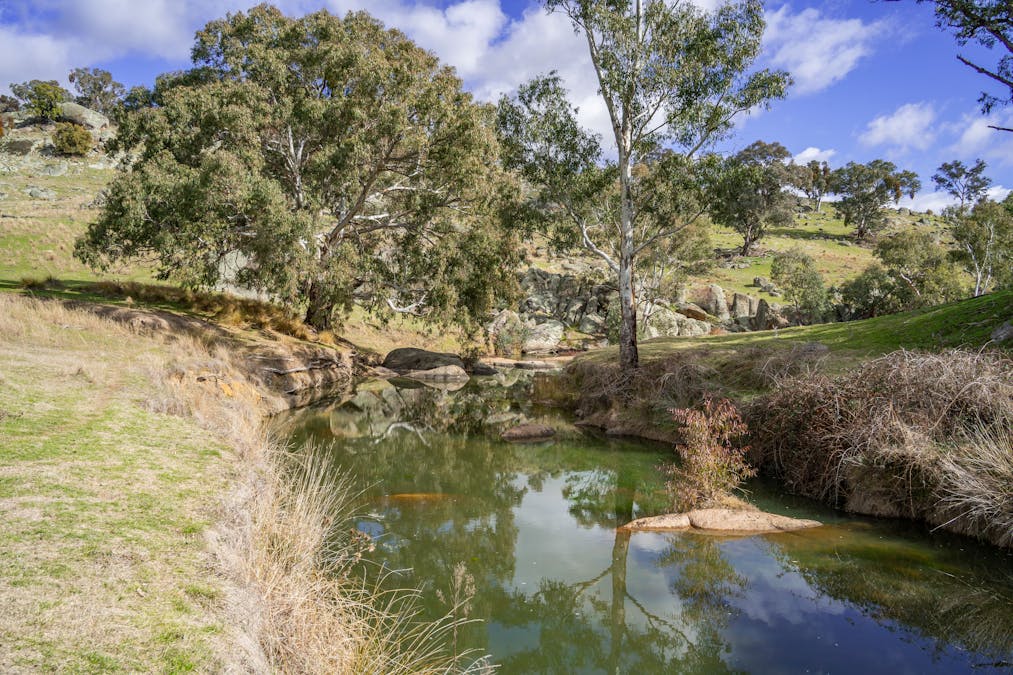 196 Sunnyridge Lane, Frogmore, NSW, 2586 - Image 7