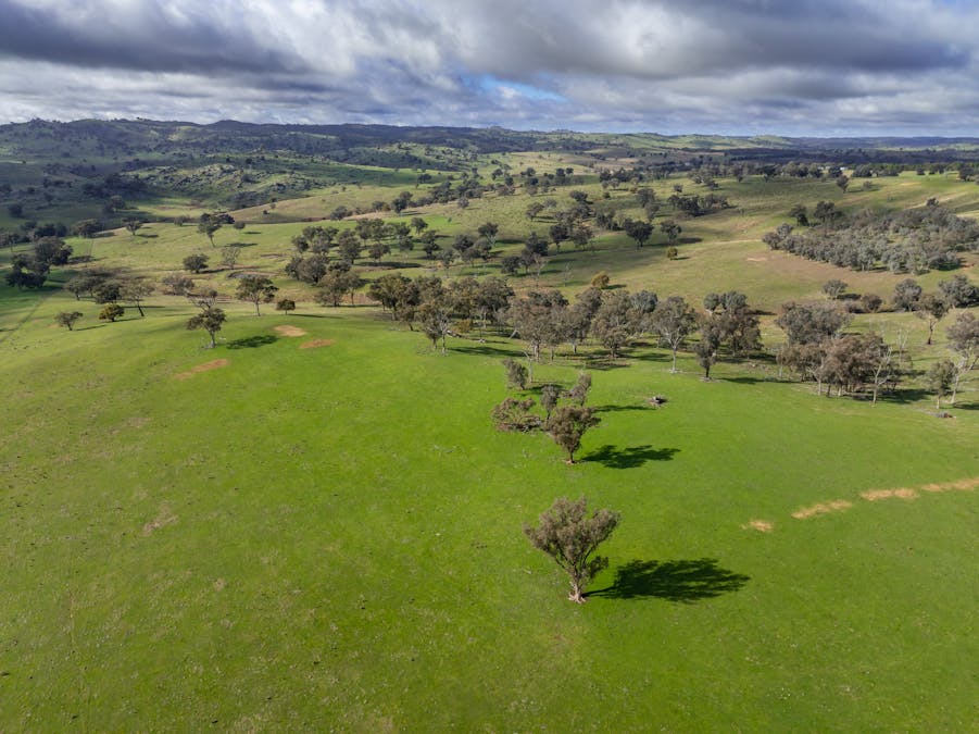 196 Sunnyridge Lane, Frogmore, NSW, 2586 - Image 22