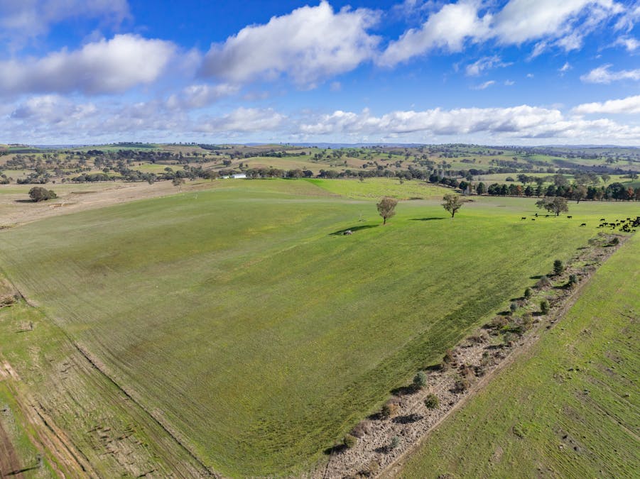 196 Sunnyridge Lane, Frogmore, NSW, 2586 - Image 33