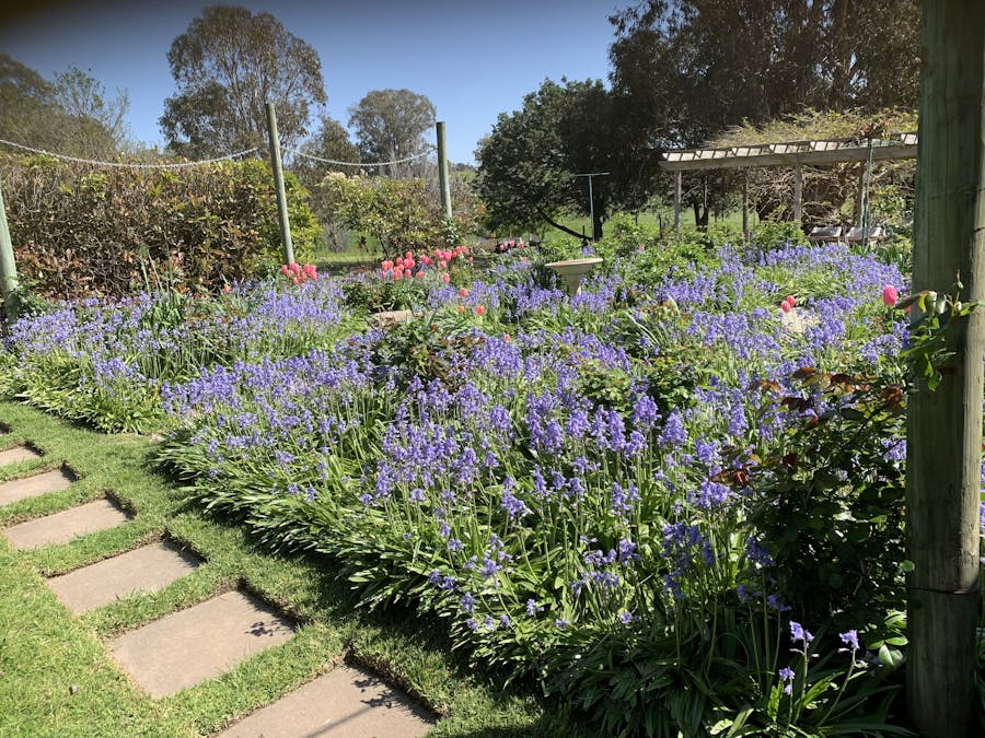 196 Sunnyridge Lane, Frogmore, NSW, 2586 - Image 17