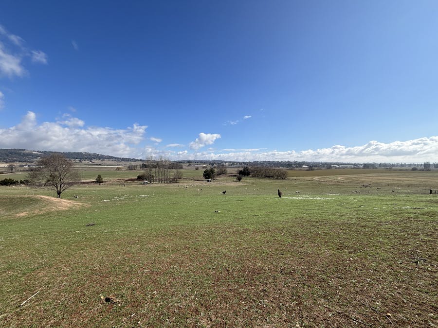 226 Gormans Hill Road, Gormans Hill, NSW, 2795 - Image 4