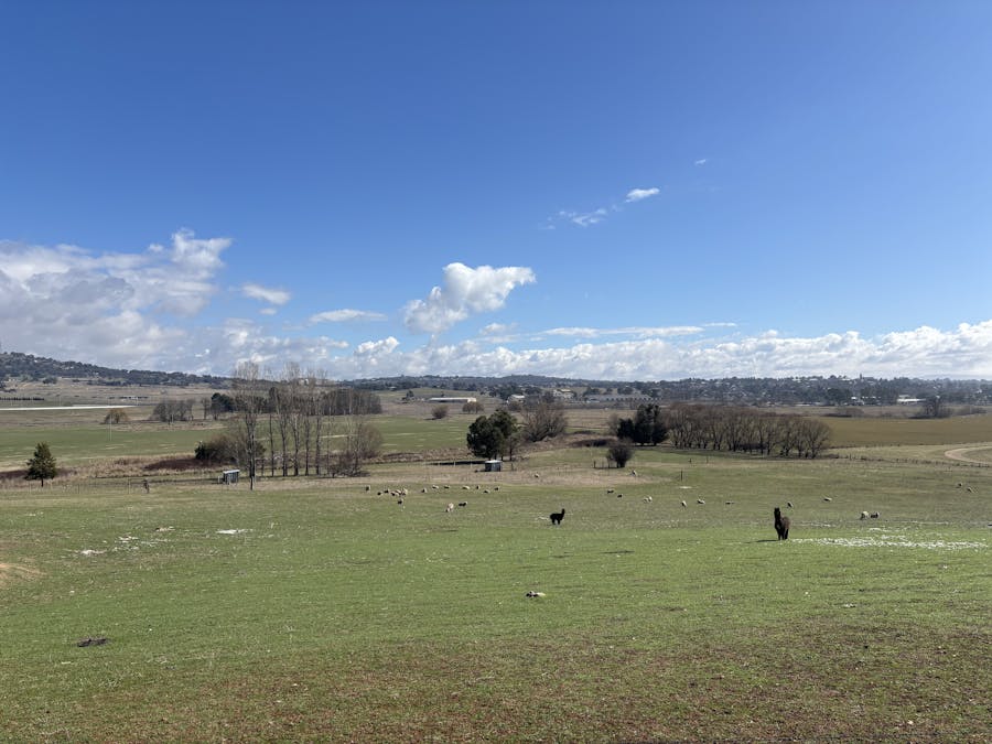 226 Gormans Hill Road, Gormans Hill, NSW, 2795 - Image 13
