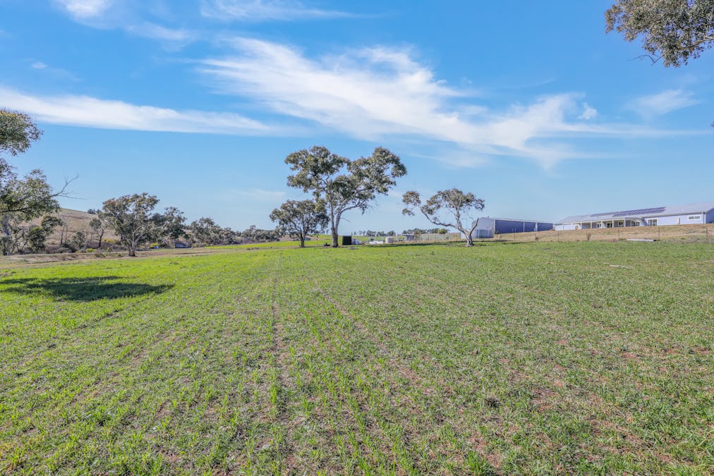 107 Thompsons Hill Retreat, White Rock, NSW, 2795 - Image 26