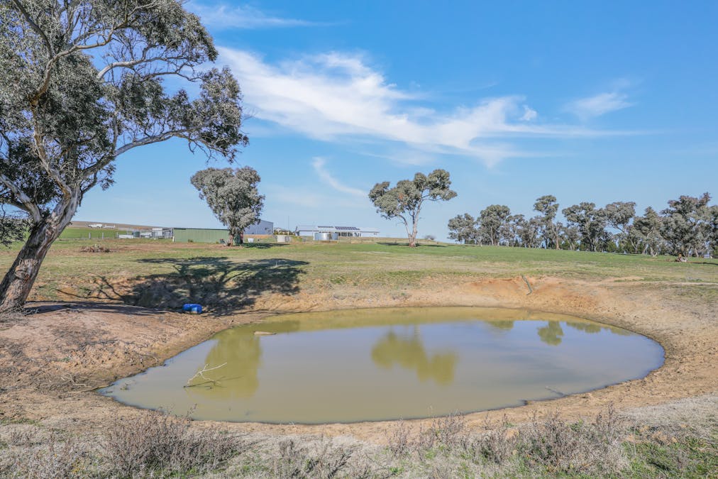107 Thompsons Hill Retreat, White Rock, NSW, 2795 - Image 24