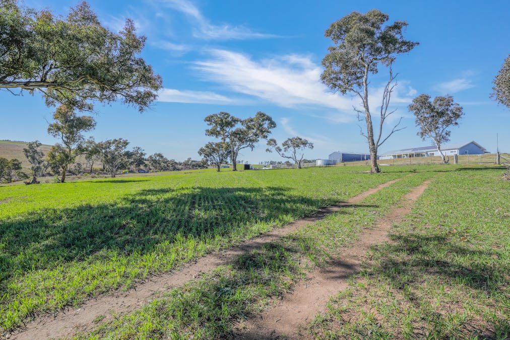 107 Thompsons Hill Retreat, White Rock, NSW, 2795 - Image 30