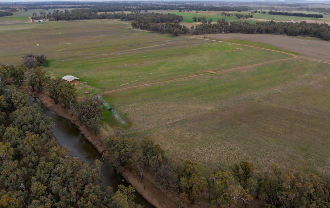193 McPhillamys Lane, Forbes, NSW, 2871 - Image 3