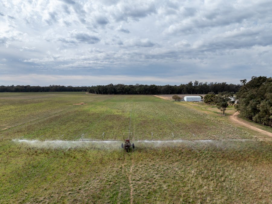 193 McPhillamys Lane, Forbes, NSW, 2871 - Image 5