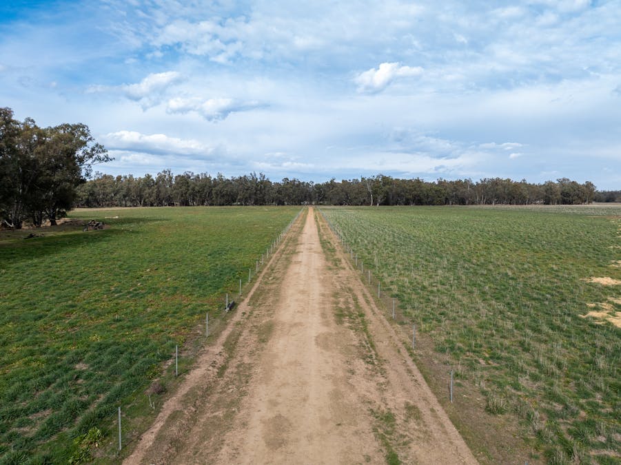 193 McPhillamys Lane, Forbes, NSW, 2871 - Image 6