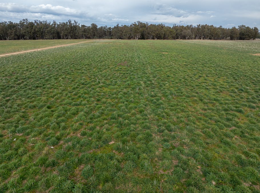 193 McPhillamys Lane, Forbes, NSW, 2871 - Image 4