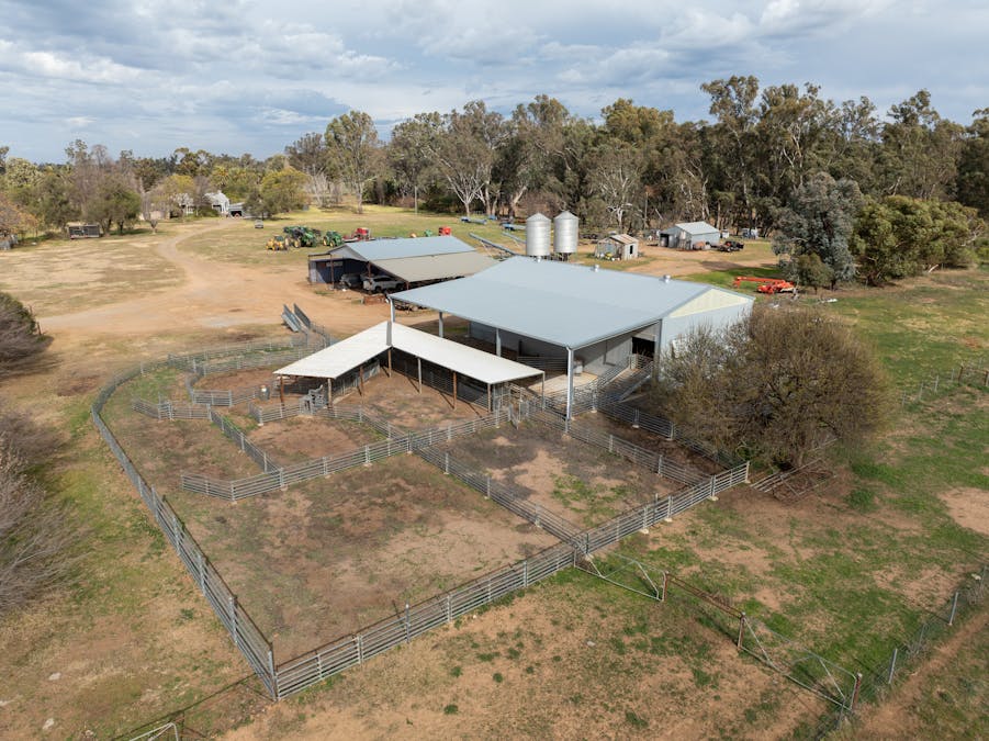 193 McPhillamys Lane, Forbes, NSW, 2871 - Image 7