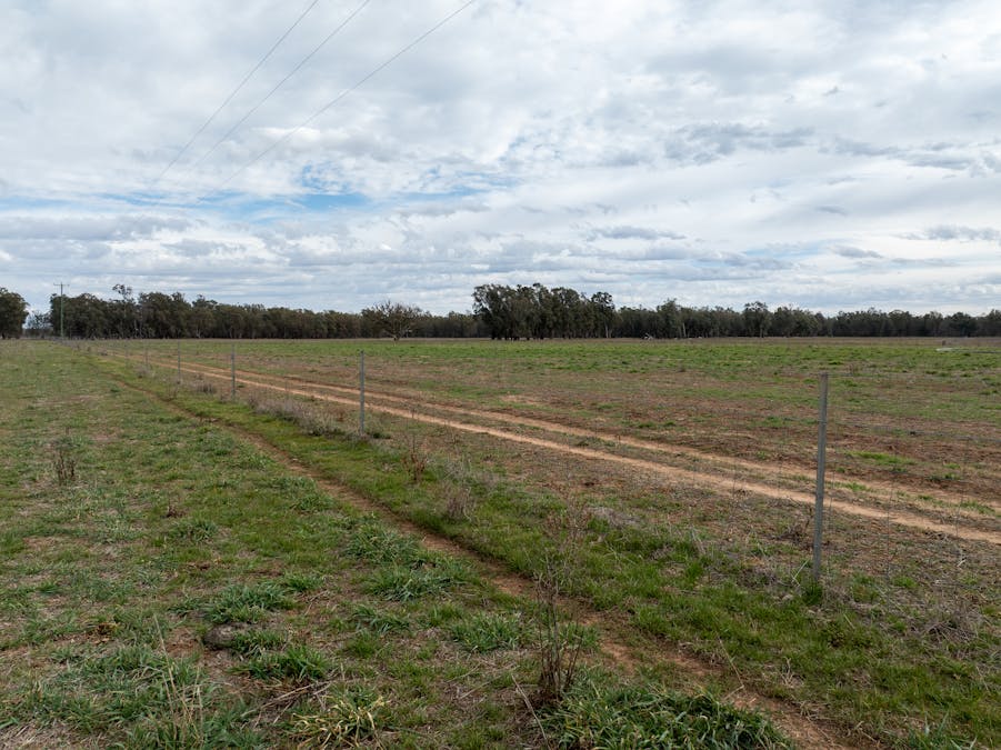 193 McPhillamys Lane, Forbes, NSW, 2871 - Image 26