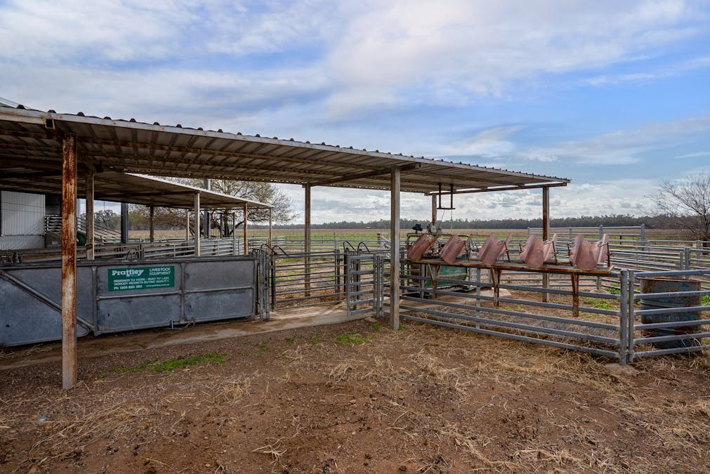193 McPhillamys Lane, Forbes, NSW, 2871 - Image 8