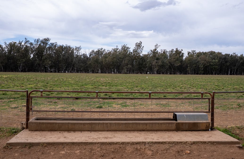 193 McPhillamys Lane, Forbes, NSW, 2871 - Image 20