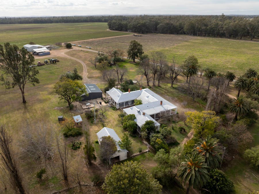 193 McPhillamys Lane, Forbes, NSW, 2871 - Image 10