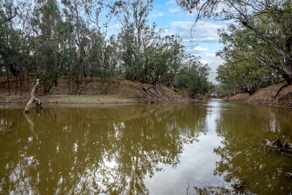 193 McPhillamys Lane, Forbes, NSW, 2871 - Image 19