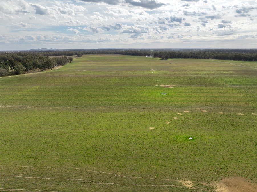 193 McPhillamys Lane, Forbes, NSW, 2871 - Image 27