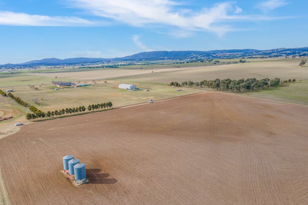 390 Tarana Road, Brewongle, NSW, 2795 - Image 22