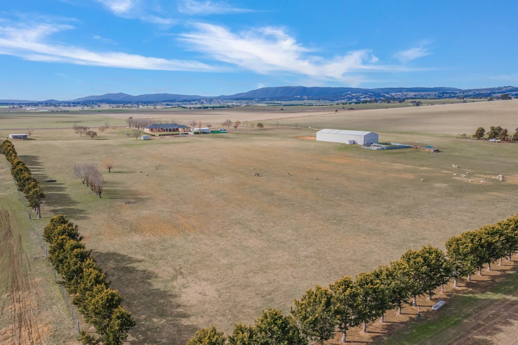 390 Tarana Road, Brewongle, NSW, 2795 - Image 25