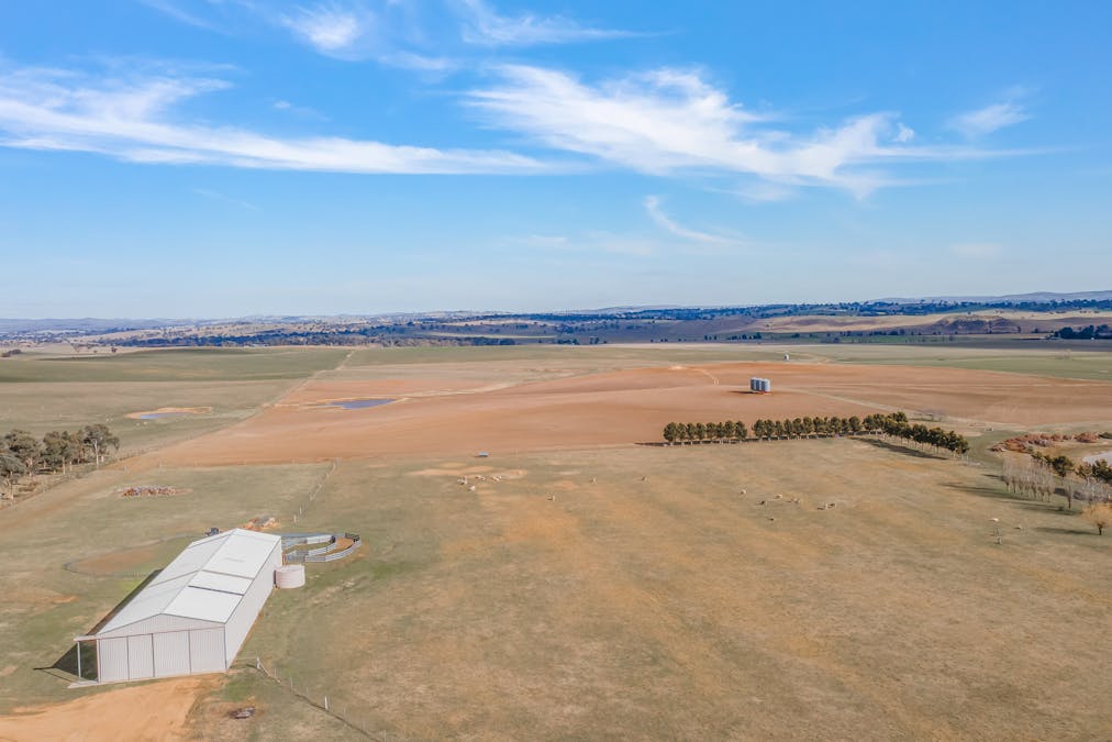 390 Tarana Road, Brewongle, NSW, 2795 - Image 28