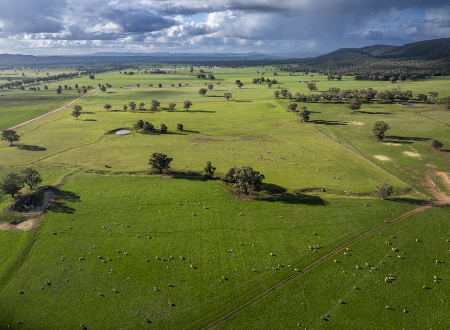 323 Clayneys Road, Warraderry, NSW, 2810 - Image 3