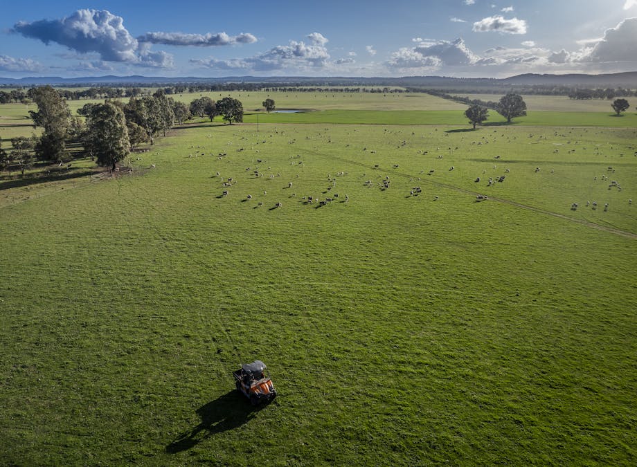 323 Clayneys Road, Warraderry, NSW, 2810 - Image 4