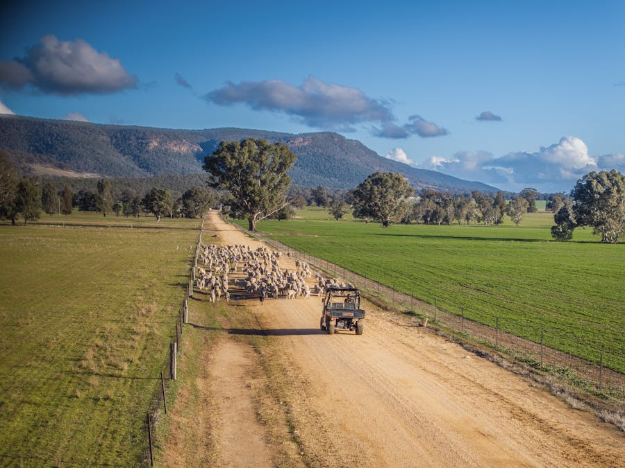 323 Clayneys Road, Warraderry, NSW, 2810 - Image 5