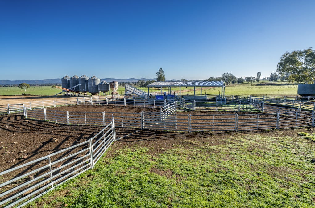 323 Clayneys Road, Warraderry, NSW, 2810 - Image 12