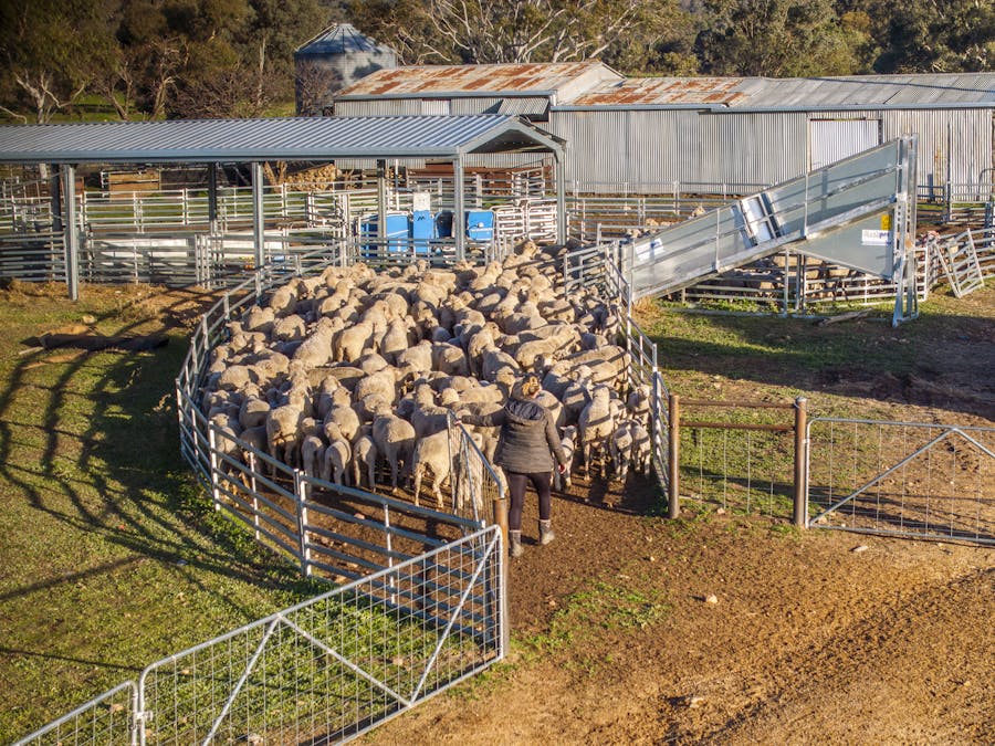 323 Clayneys Road, Warraderry, NSW, 2810 - Image 13