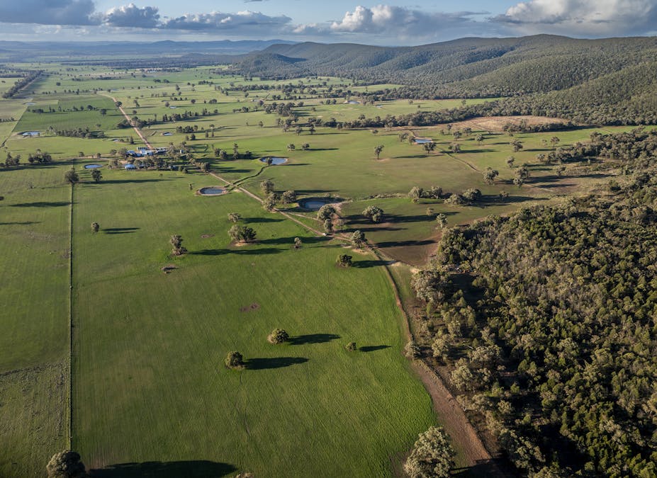 323 Clayneys Road, Warraderry, NSW, 2810 - Image 29