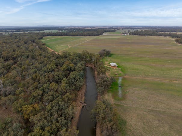 193 McPhillamys Lane, Forbes, NSW, 2871 - Image 1