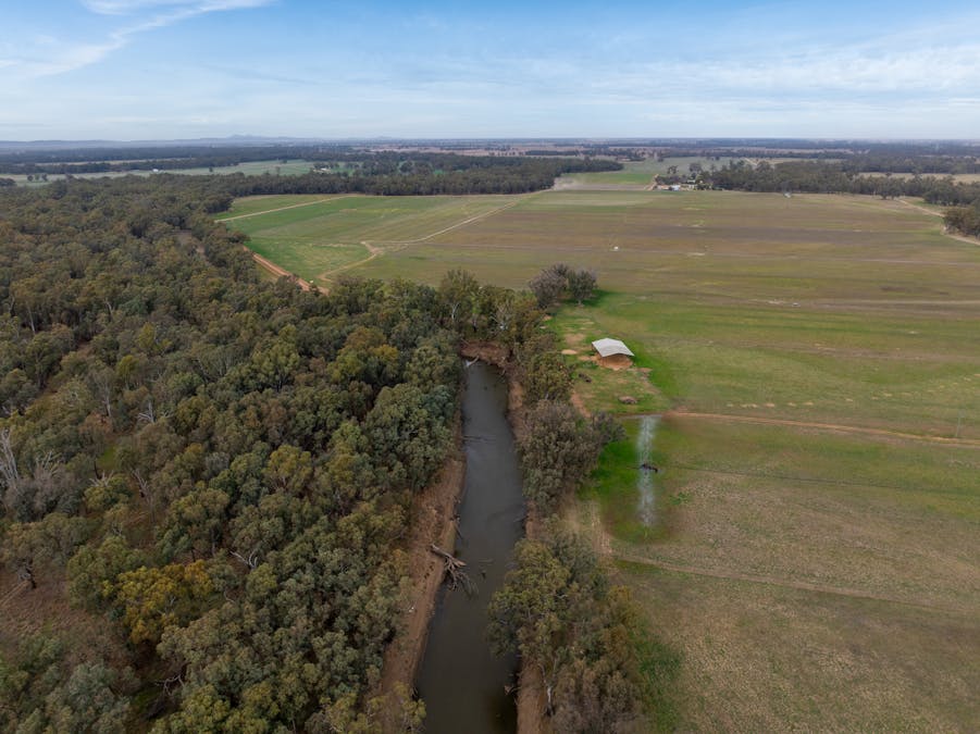 193 McPhillamys Lane, Forbes, NSW, 2871 - Image 1
